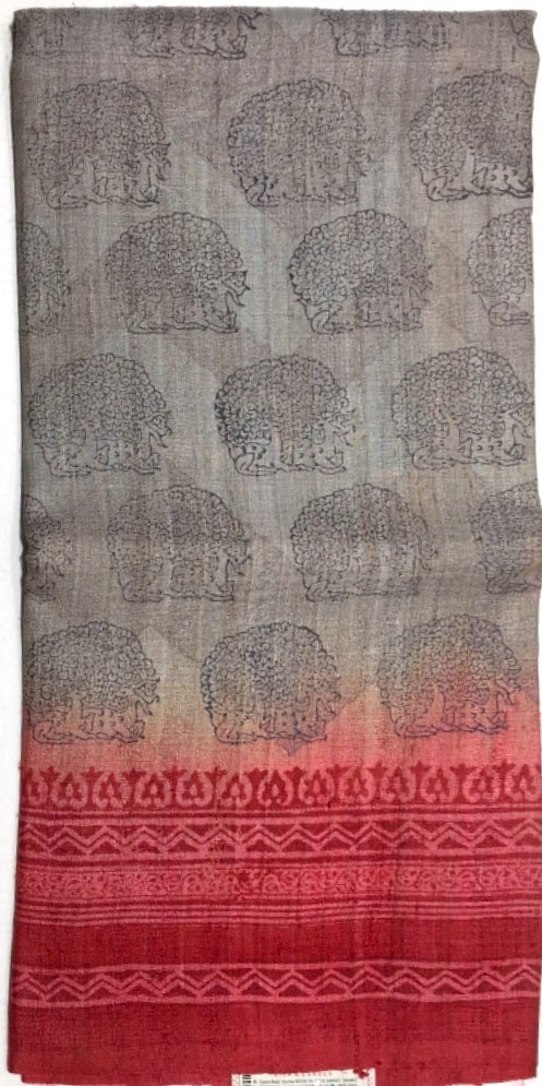 Printed Tussar Silk Saree