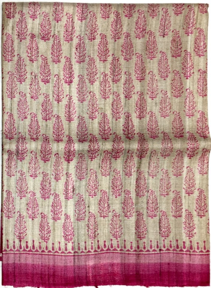 Printed Tussar Silk Saree